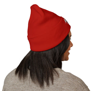 Embroidered Classic Beanie - Ambitions CHA$ER