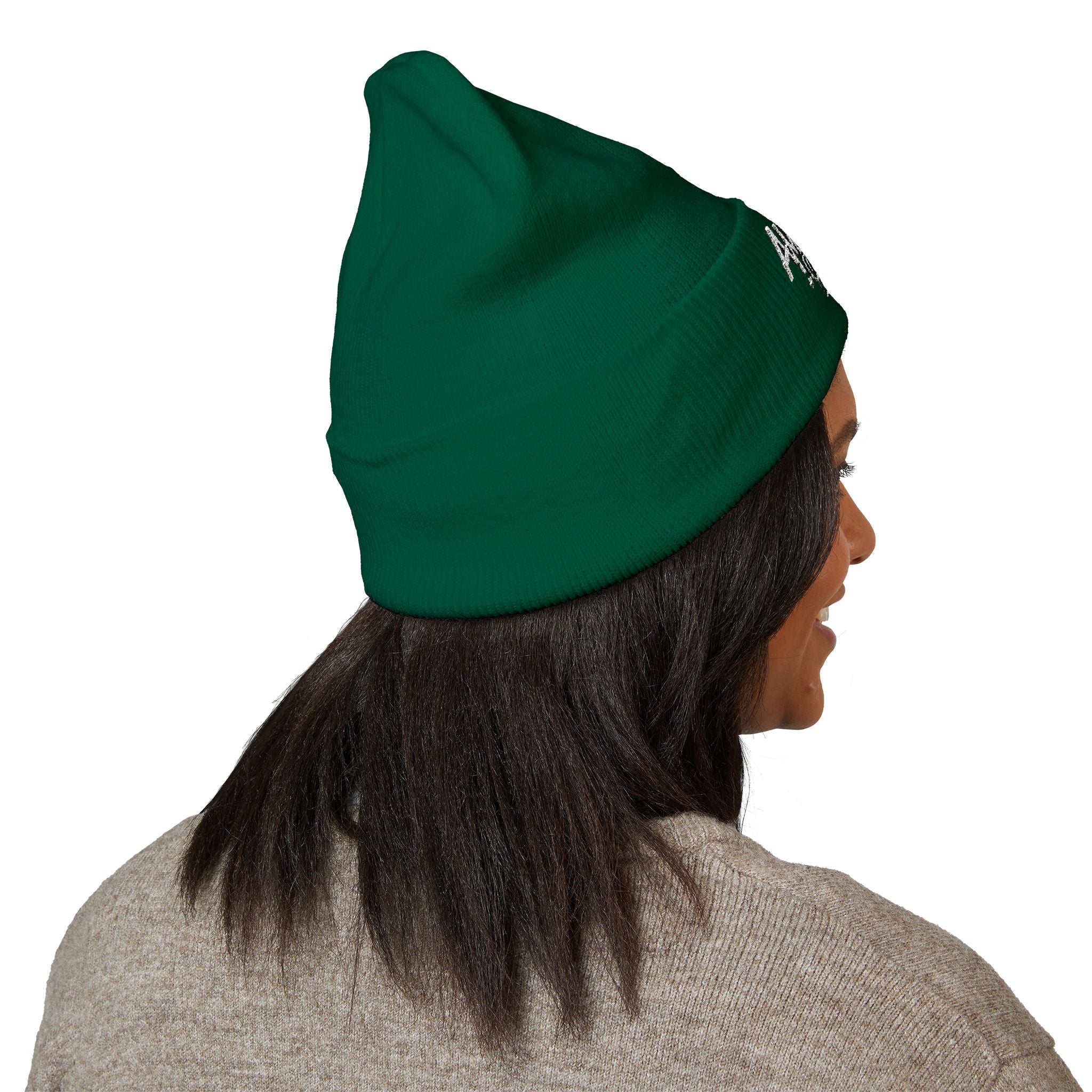 Embroidered Classic Beanie - Ambitions CHA$ER