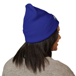 Embroidered Classic Beanie - Ambitions CHA$ER