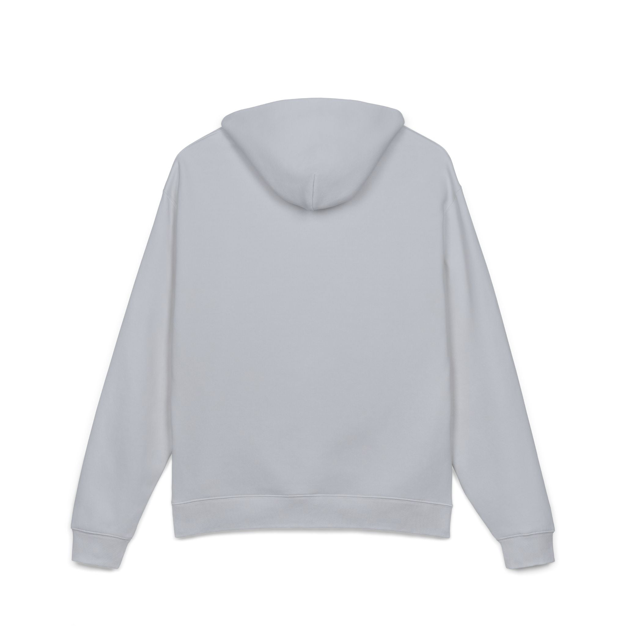 Women's Hoodie - Swaggy Oversized Hoodie for Ambitious Women - Get Up & Go Get It CHA$ER