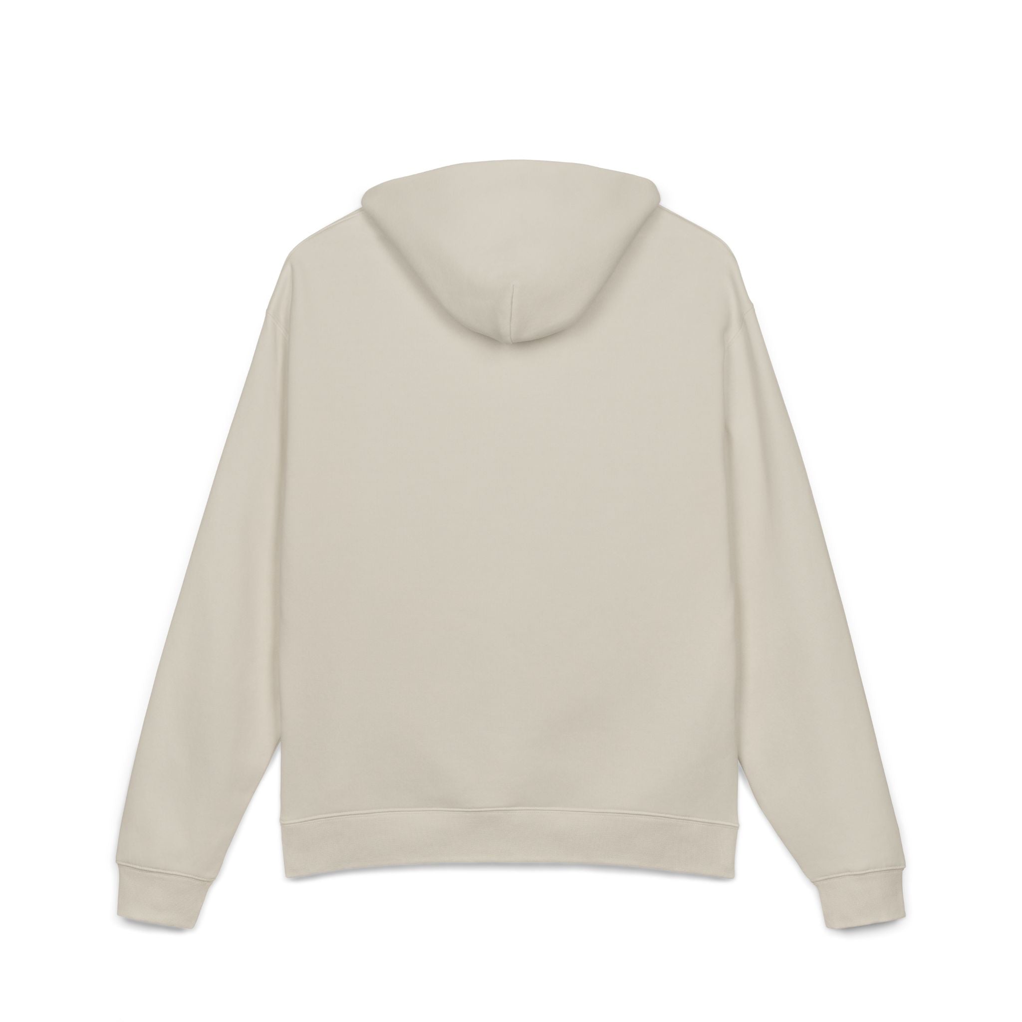 Women's Hoodie - Swaggy Oversized Hoodie for Ambitious Women - Get Up & Go Get It CHA$ER