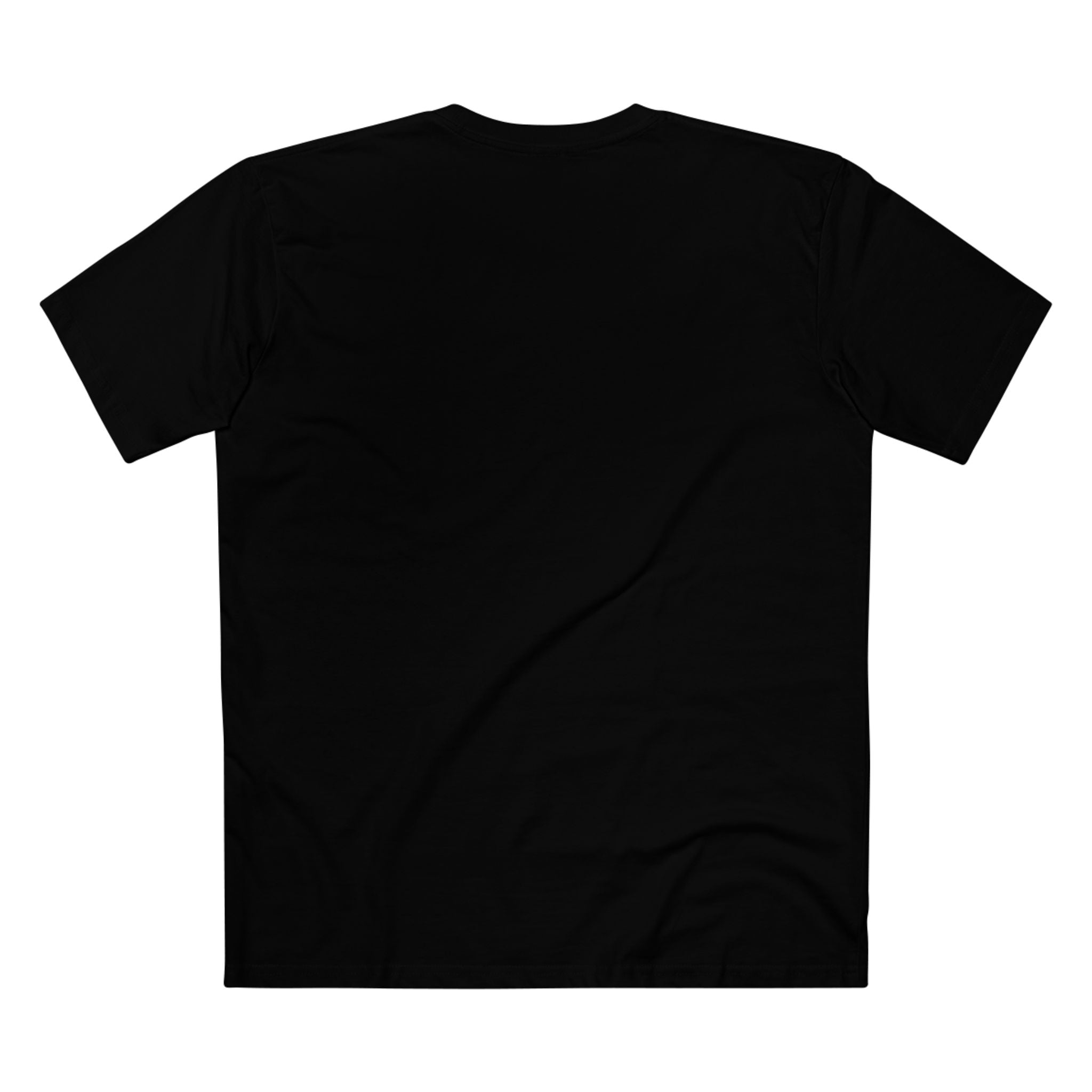 Classic Fit Blank T - Ambitions CHA$ER Adult Staple Tee