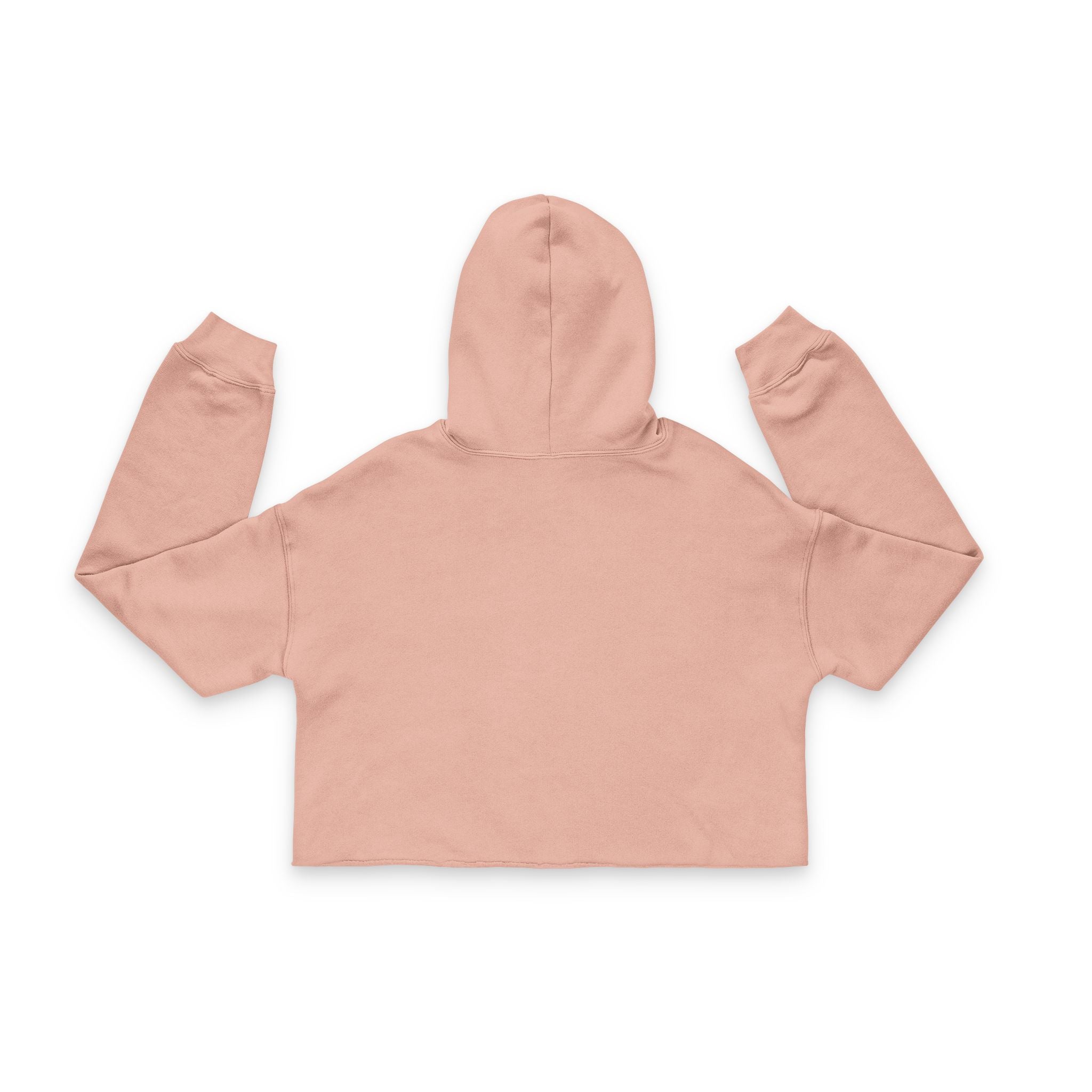 Cropped Hoodie Ambitions CHA$ER
