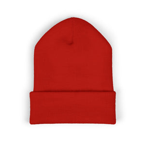 Embroidered Classic Beanie - Ambitions CHA$ER