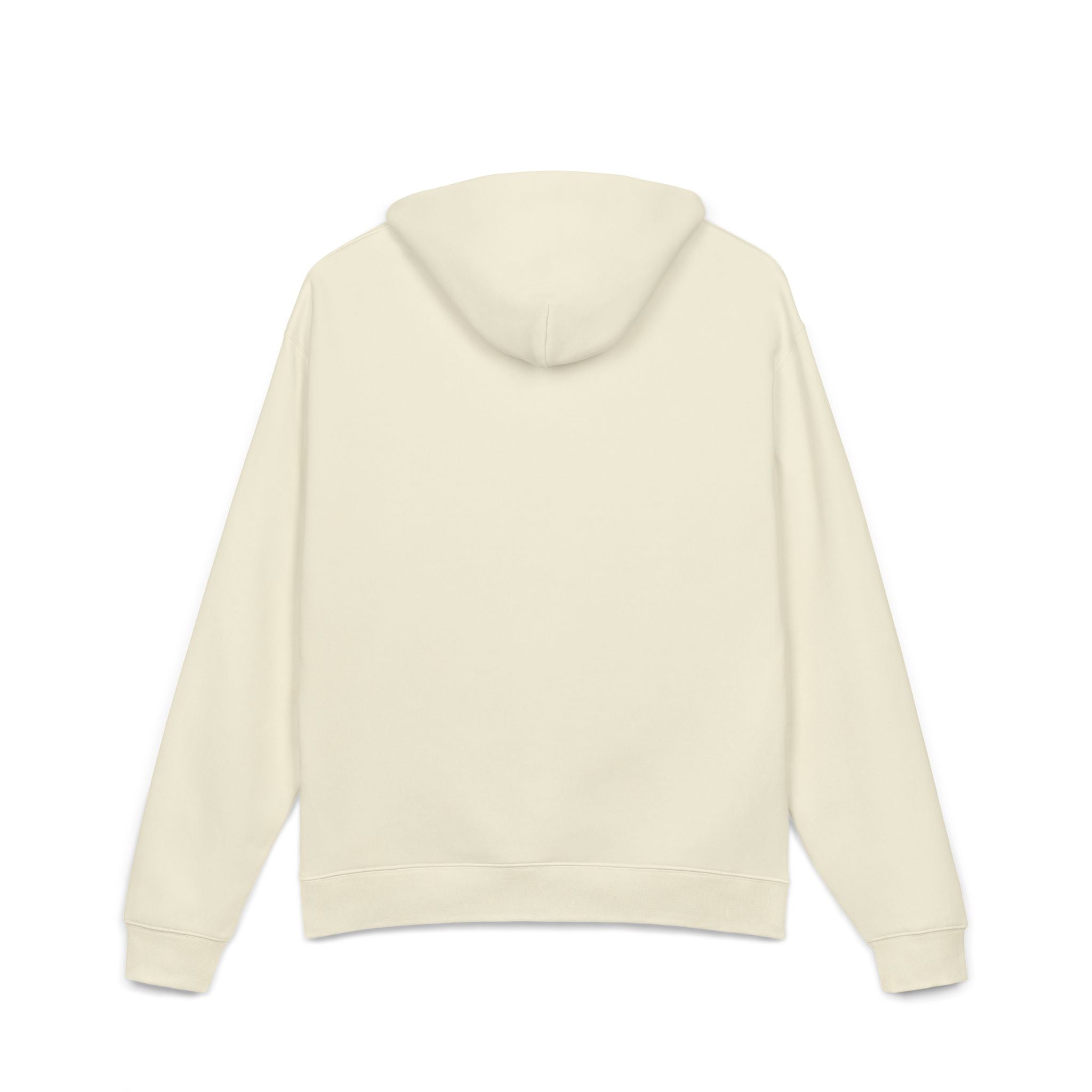 Women's Hoodie - Swaggy Oversized Hoodie for Ambitious Women - Get Up & Go Get It CHA$ER
